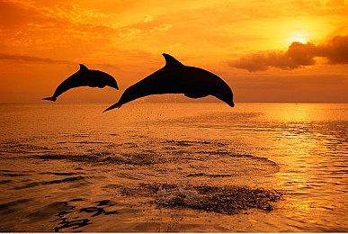 《原子之心》将有四款DLC 添加新敌人、剧情等